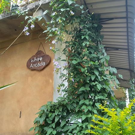 White Arcadia Cottage Ella Exterior photo